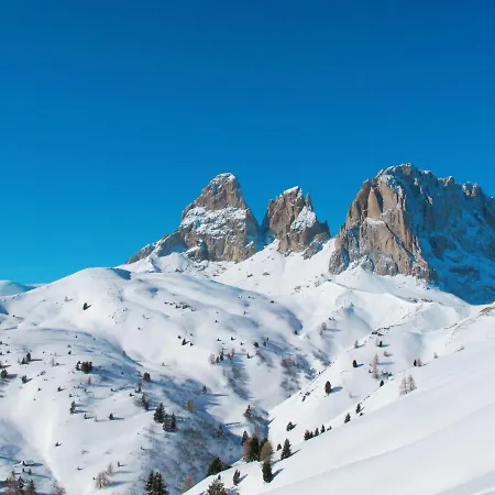 Des Alpes-8 By Interhome * Canazei